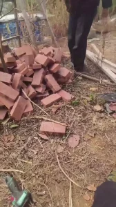 巨乳村妇野外口交1